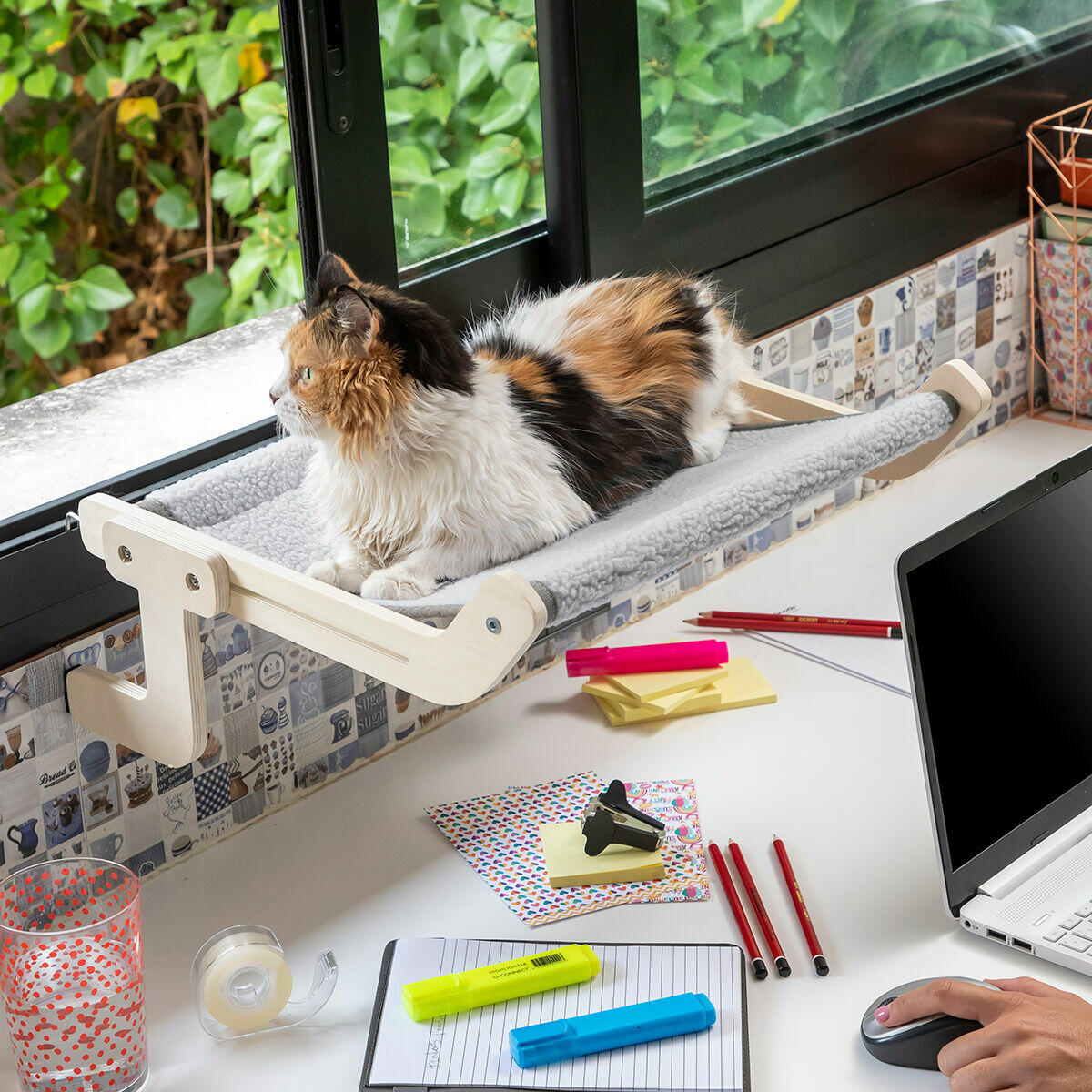 InnovaGoods Hamaca Colgante para Gatos Hamacat